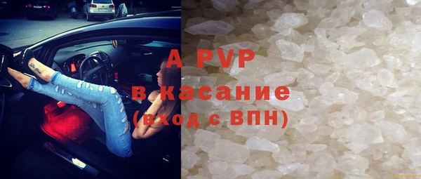 трава Сатка