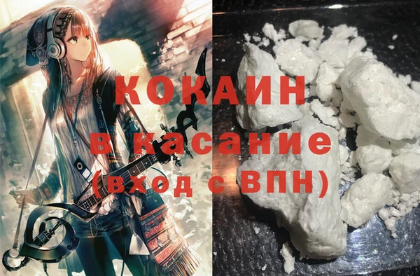 трава Сатка