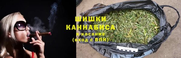 трава Сатка
